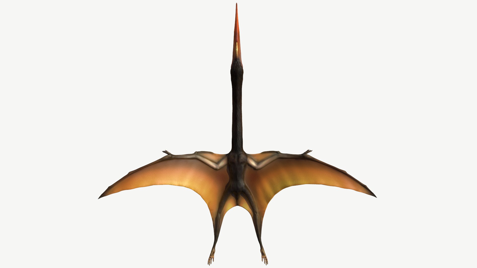 quetzalcoatlus 3d model https://p.turbosquid.com/ts-thumb/PM/6EwX4B/2y/4/png/1613888894/1920x1080/fit_q87/ceb289de572ace4f2a2406dcf58cb6e3a5c887b8/4.jpg