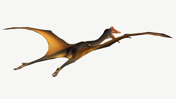 Quetzalcoatlus 3d Model