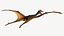 Quetzalcoatlus (Low Poly)