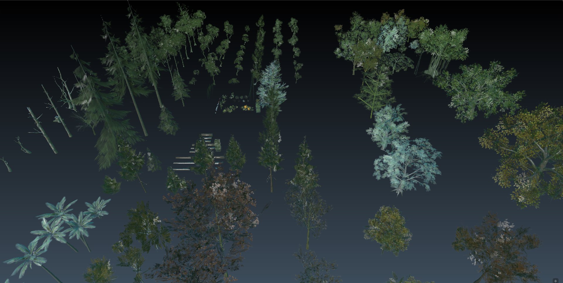 3D Trees Vr Model - TurboSquid 1438491