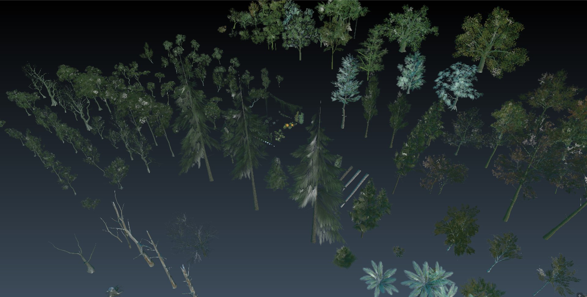 3D Trees Vr Model - TurboSquid 1438491