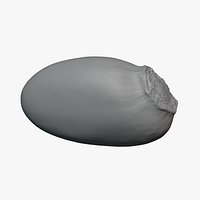 Lychee Seed - For 3D Print