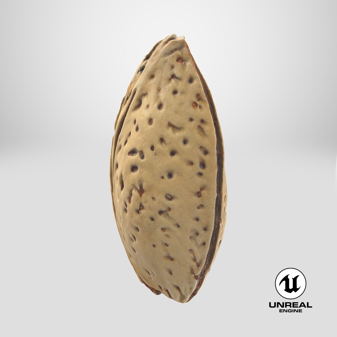 3D Almond Shell https://p.turbosquid.com/ts-thumb/PM/VAIWtv/Hg/stemcell_unreal_render/png/1727444209/1920x1080/fit_q87/2e0c7aba044cd2a92a282f5a7f2f647fe566927f/stemcell_unreal_render.jpg