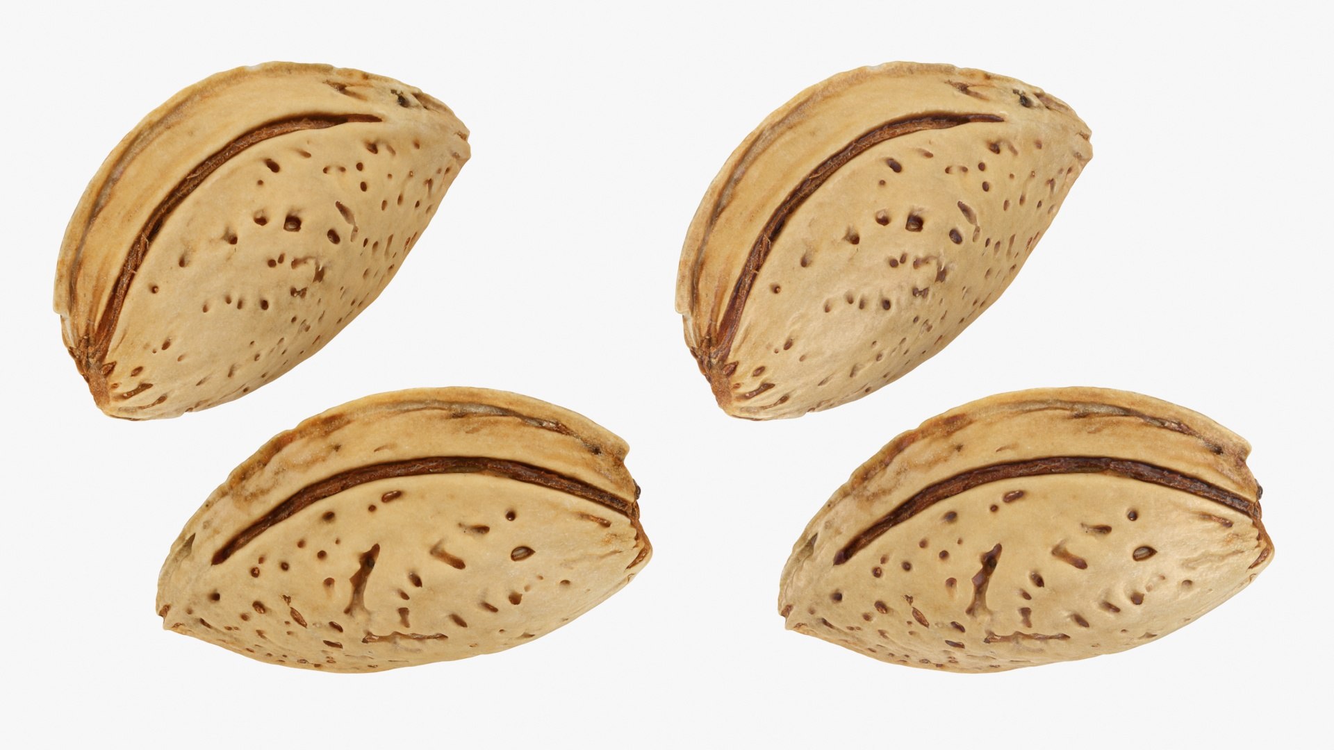 3D Almond Shell https://p.turbosquid.com/ts-thumb/PM/VAIWtv/QL/almondshell_a0003/jpg/1725461857/1920x1080/fit_q87/b918f8968ea5cef37ad9b3d2c679b0b9f69e9edf/almondshell_a0003.jpg