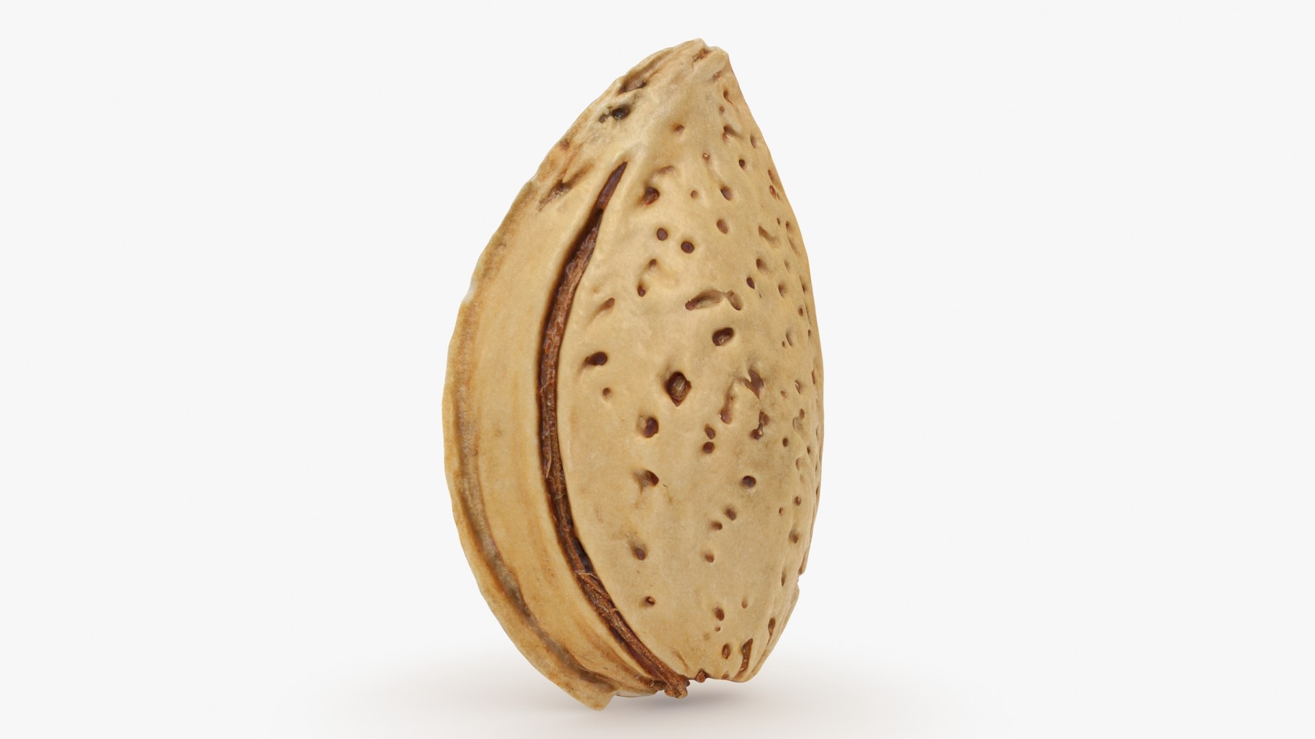 3D Almond Shell https://p.turbosquid.com/ts-thumb/PM/VAIWtv/Va/almondshell_b0016/jpg/1725461863/1920x1080/fit_q87/ad1eb8a35ce2b6da79744c3de0c00d7ebe96df55/almondshell_b0016.jpg