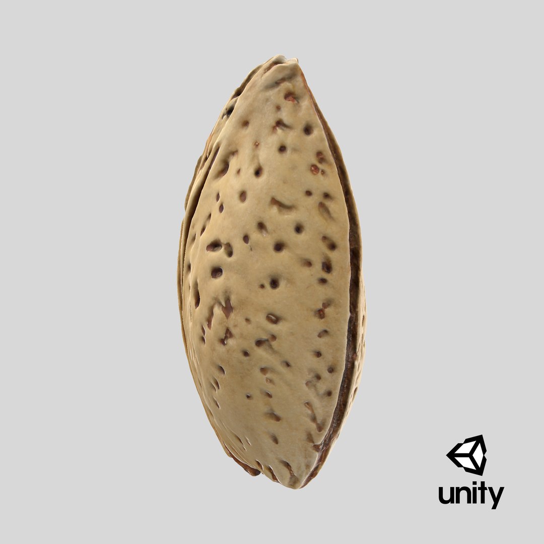 3D Almond Shell https://p.turbosquid.com/ts-thumb/PM/VAIWtv/WO/stemcell_unity_render/png/1727444210/1920x1080/fit_q87/a6cd2e2fc3855596161eb81ac1754a1c0a48345e/stemcell_unity_render.jpg