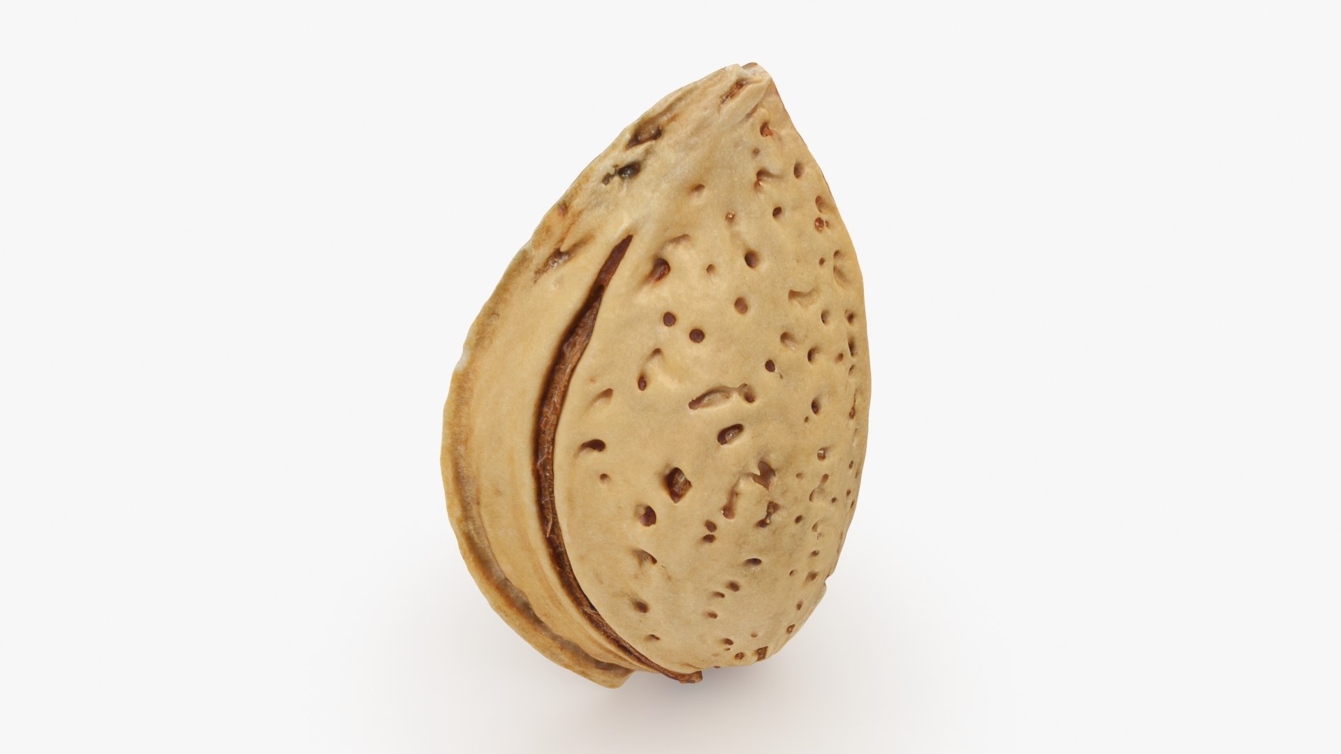 3D Almond Shell https://p.turbosquid.com/ts-thumb/PM/VAIWtv/Wz/almondshell_b0002/jpg/1725461859/1920x1080/fit_q87/fd80d07a78b40b357ba8c5265be83fefd15a5d3d/almondshell_b0002.jpg