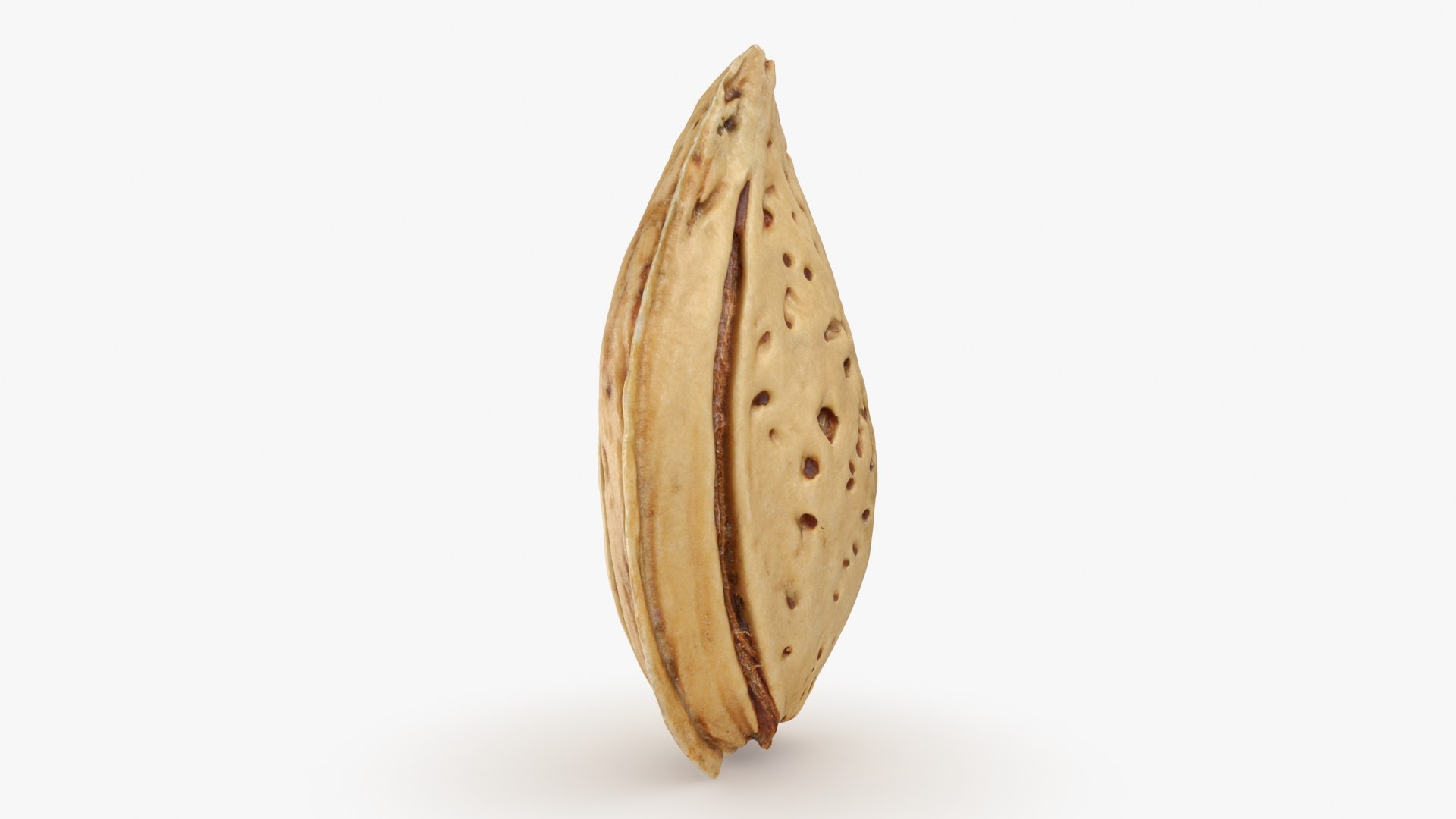 3D Almond Shell https://p.turbosquid.com/ts-thumb/PM/VAIWtv/cQ/almondshell_b0010/jpg/1725461862/1920x1080/fit_q87/3651c7b241d9539da6ff85a19237195ed5e463da/almondshell_b0010.jpg