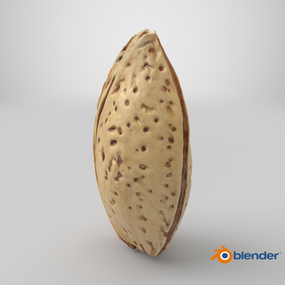 3D Almond Shell https://p.turbosquid.com/ts-thumb/PM/VAIWtv/kP/stemcell_blender_cycles_render/png/1727444194/1920x1080/fit_q87/57ab7d947d13af47debbe931ec4352380fe2326b/stemcell_blender_cycles_render.jpg