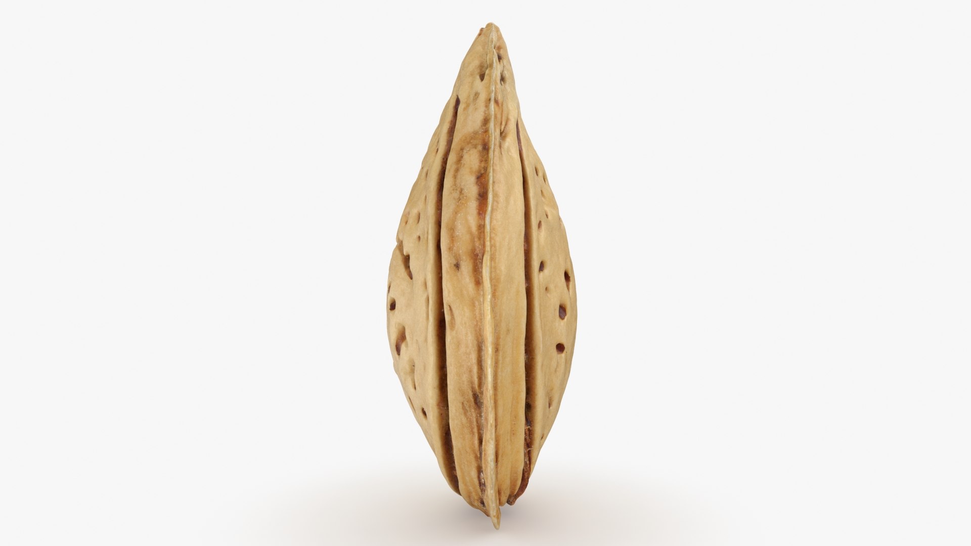 3D Almond Shell https://p.turbosquid.com/ts-thumb/PM/VAIWtv/nq/almondshell_b0014/jpg/1725461862/1920x1080/fit_q87/f5cc1334feb59ce2abb51930cf7bc1d7999636db/almondshell_b0014.jpg