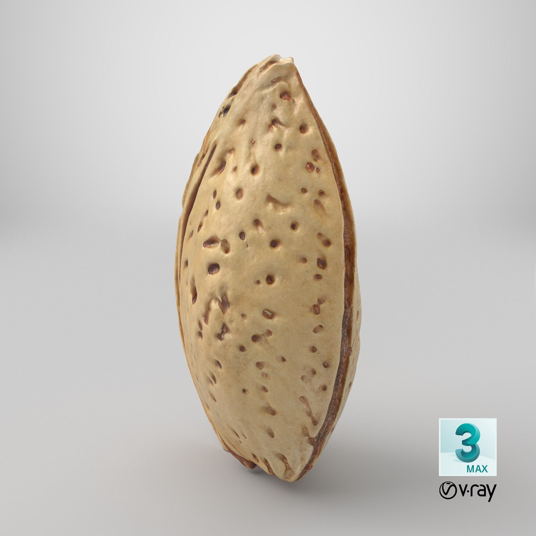 3D Almond Shell https://p.turbosquid.com/ts-thumb/PM/VAIWtv/qi/stemcell_max_vray_render/png/1727444204/1920x1080/fit_q87/c9febdfe16bbcac1f383e176e985a335a36a905a/stemcell_max_vray_render.jpg