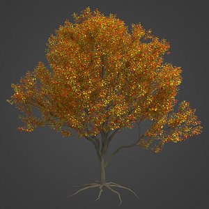 3D model 2021 PBR Blackthorn Collection - Prunus Spinosa