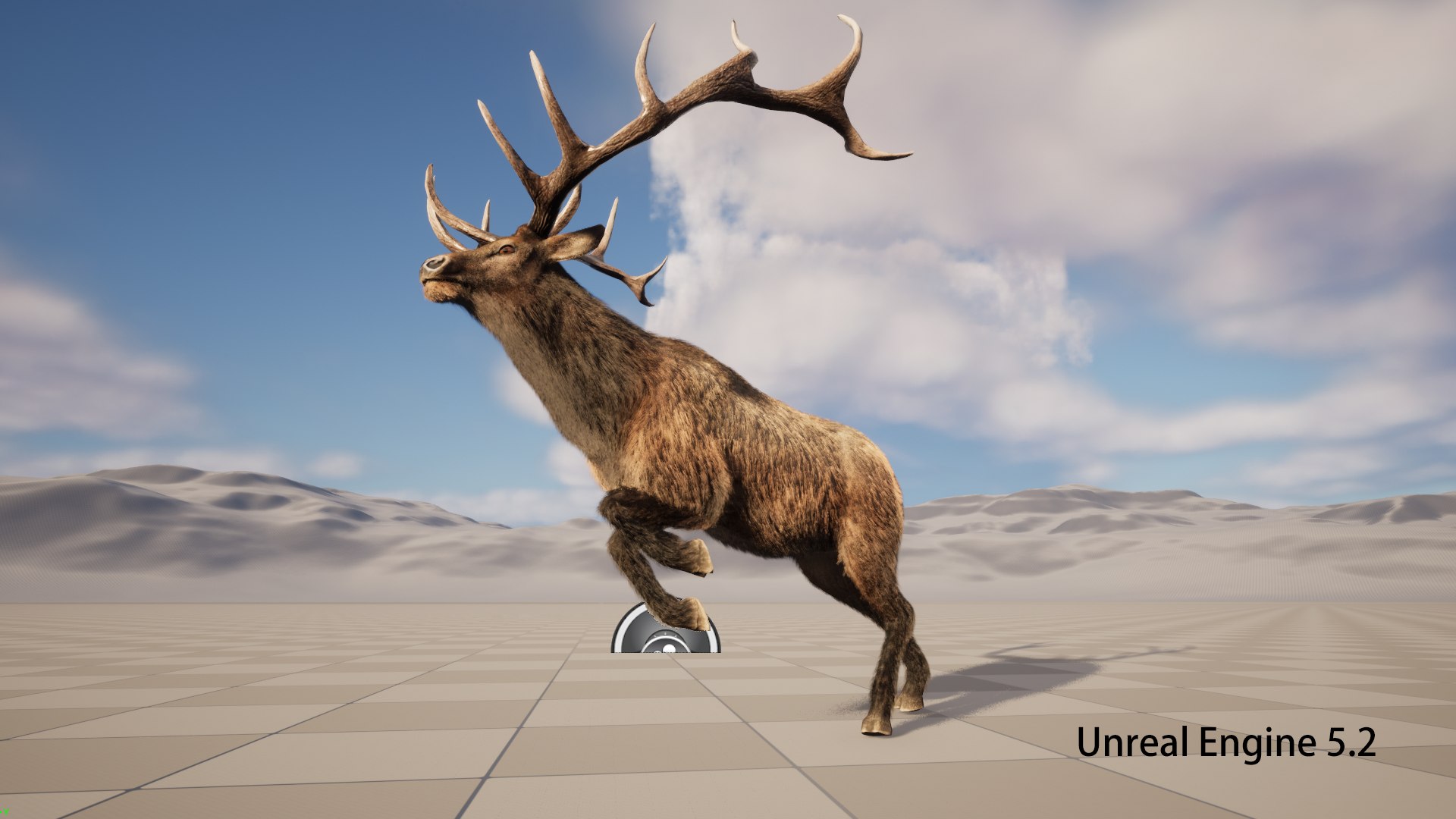 3D deer stag elk model https://p.turbosquid.com/ts-thumb/PM/qbjUne/3i/ue03/png/1778748120/1920x1080/fit_q87/8cbcf8eb6a97b7fe0173ccce51f9316a92a9e6bc/ue03.jpg