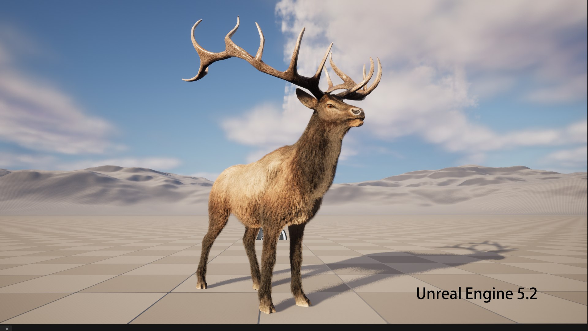 3D deer stag elk model https://p.turbosquid.com/ts-thumb/PM/qbjUne/CT/ue01/png/1778748122/1920x1080/fit_q87/92f3b41a241d6e3343806c1c356b7aef4524ae6c/ue01.jpg