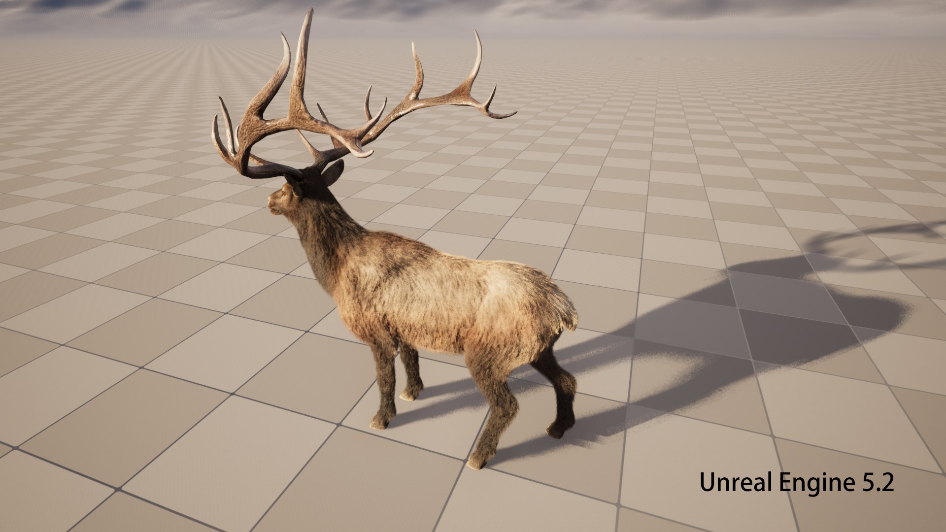 3D deer stag elk model https://p.turbosquid.com/ts-thumb/PM/qbjUne/YC/ue04/png/1778748120/1920x1080/fit_q87/368b7b9e00e9efbaca858da9959276c21b0e4b73/ue04.jpg