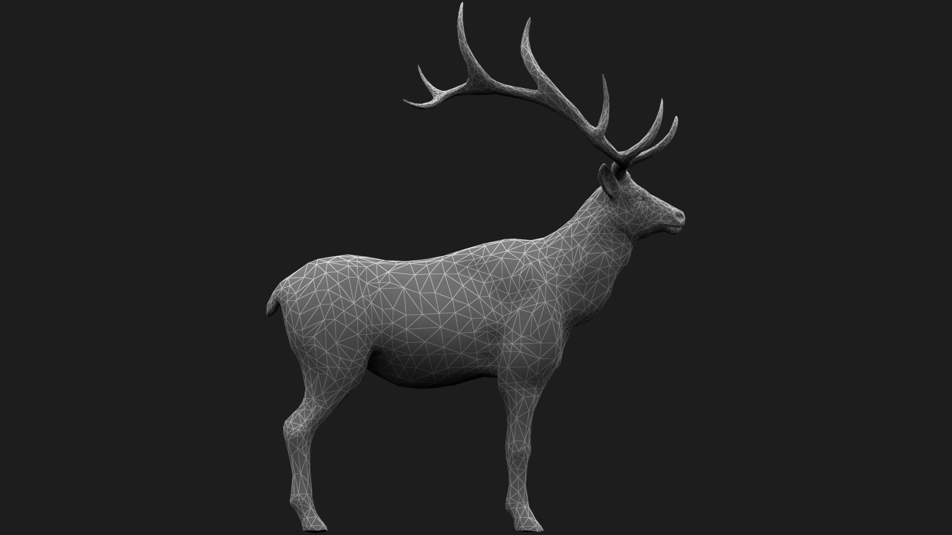 3D deer stag elk model https://p.turbosquid.com/ts-thumb/PM/qbjUne/eS/z012/jpg/1706016462/1920x1080/fit_q87/48cd25eefcce1e7cea46f651923b9a27d276c59e/z012.jpg