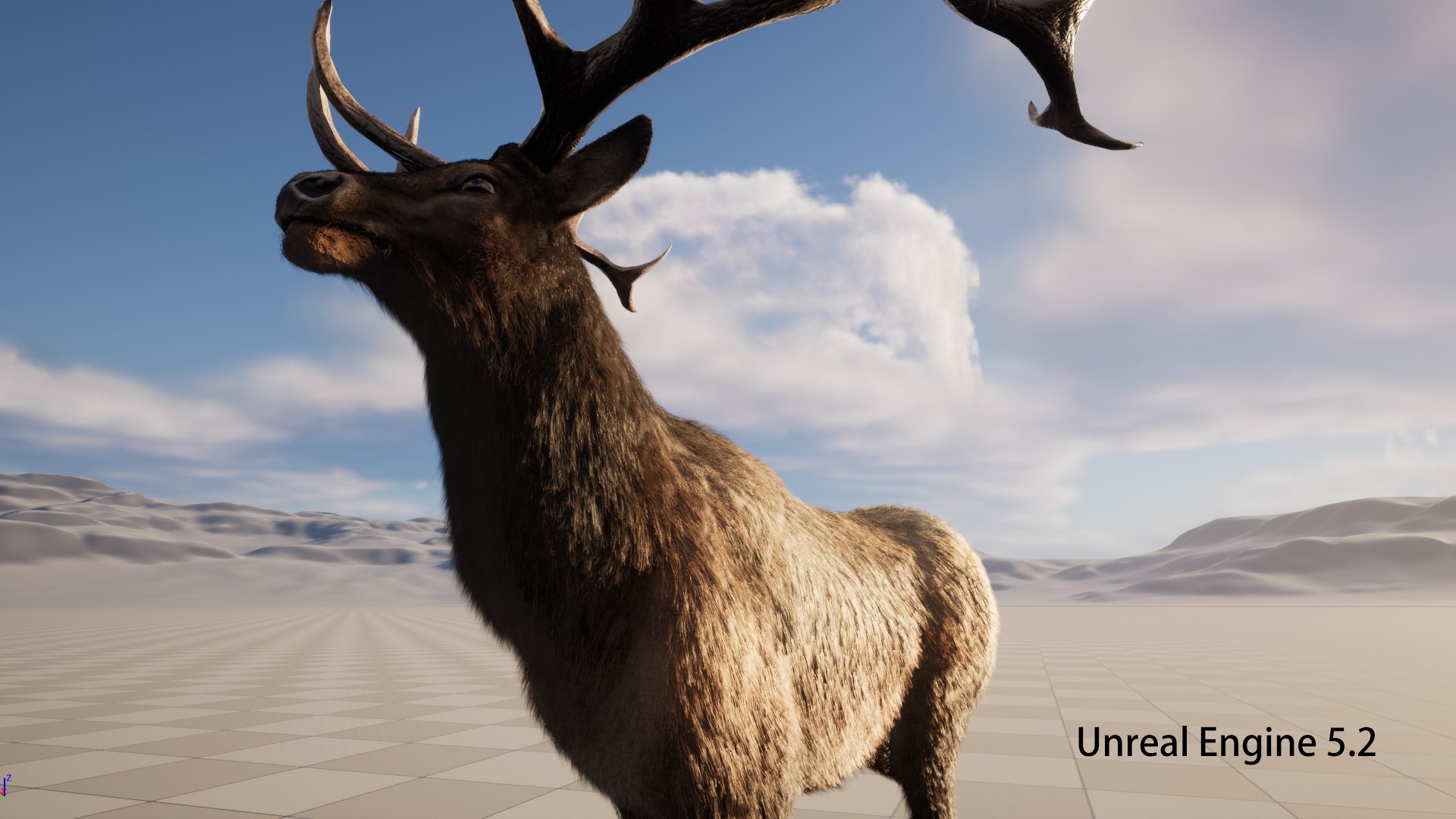 3D deer stag elk model https://p.turbosquid.com/ts-thumb/PM/qbjUne/gf/ue02/png/1778748120/1920x1080/fit_q87/48cd7c20a4a5580045c33ea8a48d359db354615b/ue02.jpg