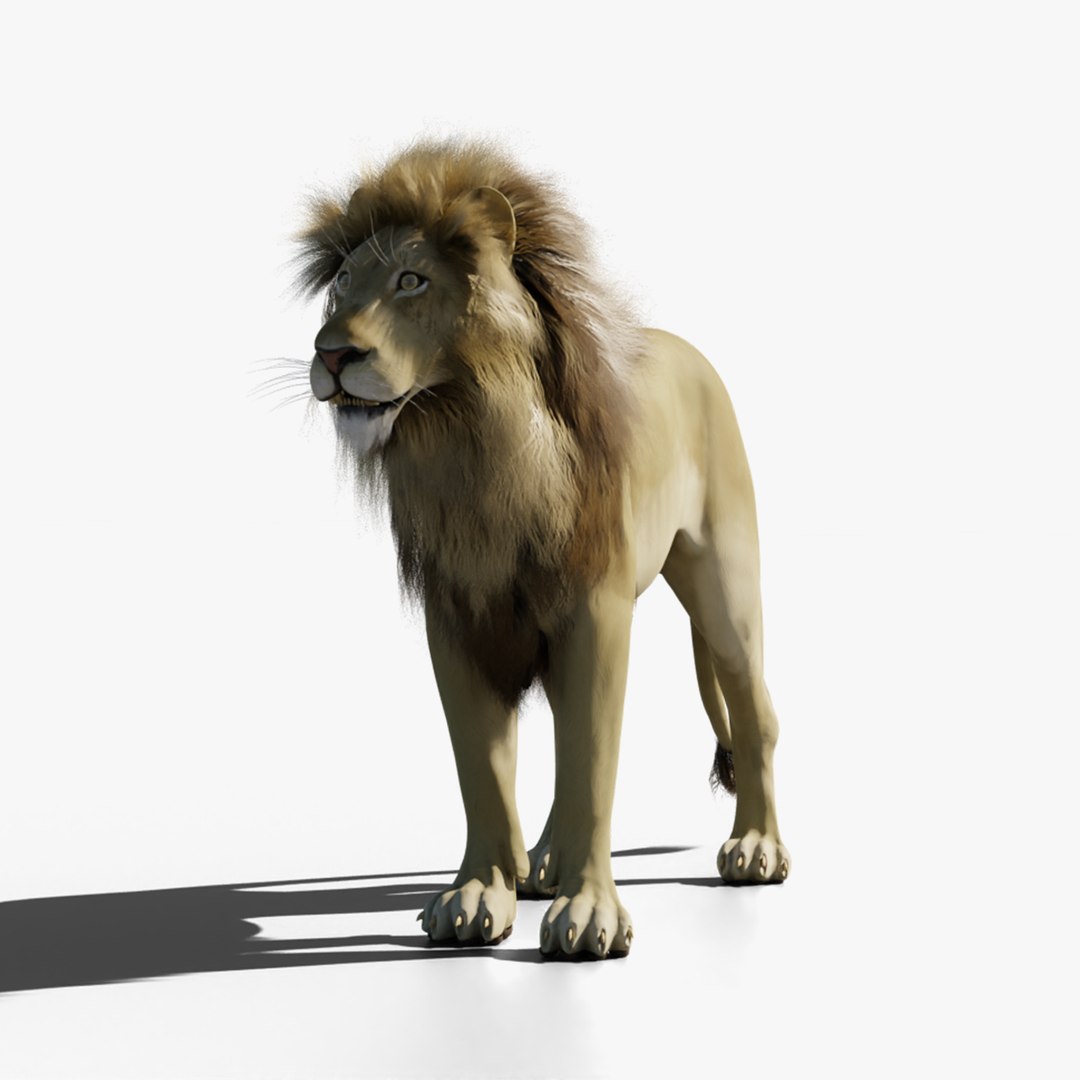 Lion animated model https://p.turbosquid.com/ts-thumb/PM/uB6Yoy/1Q/00_cover_/png/1774032475/1920x1080/fit_q87/d5bc29137a83312bd4987174404d5937eb85709c/00_cover_.jpg