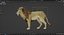 Lion animated model