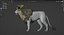 Lion animated model