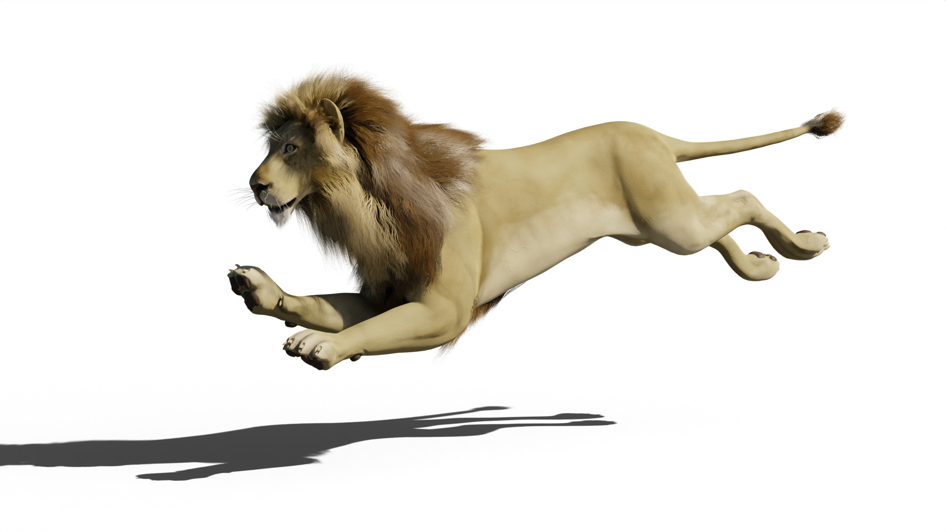 Lion Animated Model - TurboSquid 2547013