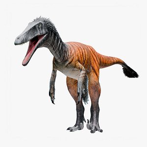 Austroraptor - Dinosaur 3D model