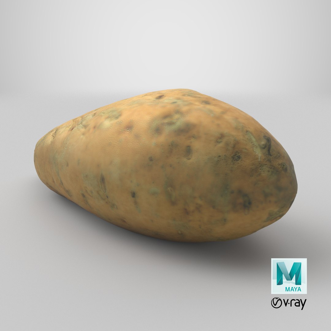 3D Sweet Potatoe 03 model https://p.turbosquid.com/ts-thumb/PM/ywWZgq/36/stemcell_maya_vray_render/png/1733768192/1920x1080/fit_q87/1ef7d16ece39febdeec462a6d0632cfb34e5e2e9/stemcell_maya_vray_render.jpg
