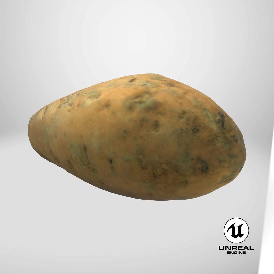 3D Sweet Potatoe 03 model https://p.turbosquid.com/ts-thumb/PM/ywWZgq/3r/stemcell_unreal_render/png/1733768202/1920x1080/fit_q87/4da6dd385510ae26b237dc87fdfdb4ef588ebef9/stemcell_unreal_render.jpg