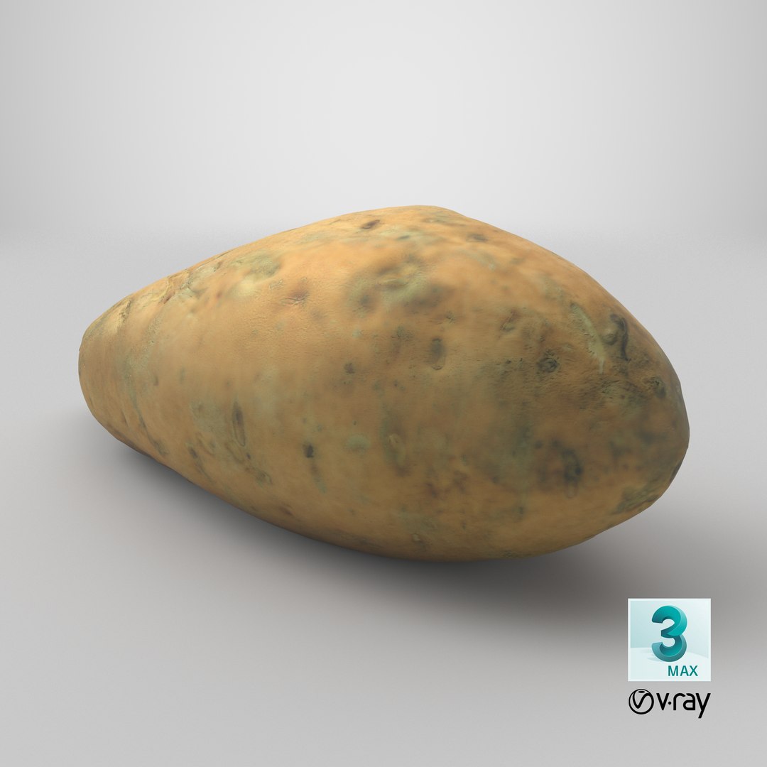 3D Sweet Potatoe 03 model https://p.turbosquid.com/ts-thumb/PM/ywWZgq/Io/stemcell_max_vray_render/png/1733768198/1920x1080/fit_q87/f7eccaa9702acf051f6267eb0ebf3fc7a91262a2/stemcell_max_vray_render.jpg