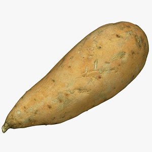 3D Sweet Potatoe 03 model
