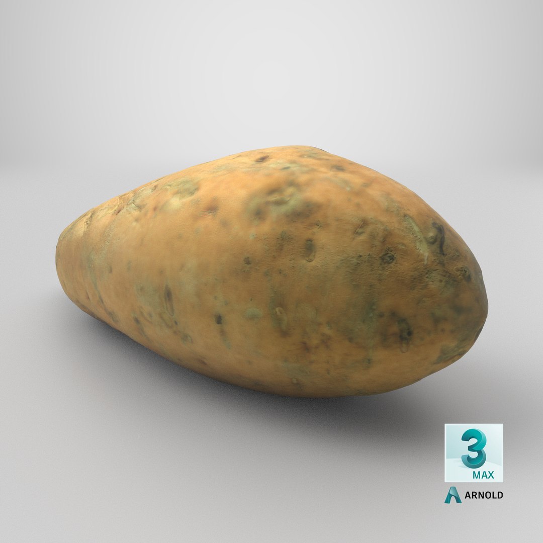 3D Sweet Potatoe 03 model https://p.turbosquid.com/ts-thumb/PM/ywWZgq/VS/stemcell_max_arnold_render/png/1733768200/1920x1080/fit_q87/9621f33abb251bc9cf42c5a68f4fcbf4df3bb5f4/stemcell_max_arnold_render.jpg