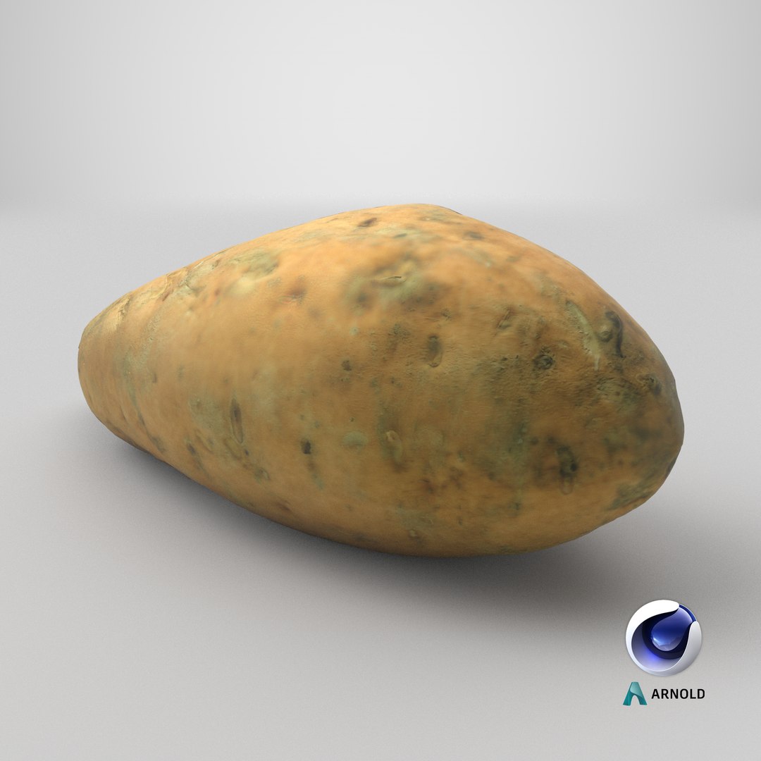 3D Sweet Potatoe 03 model https://p.turbosquid.com/ts-thumb/PM/ywWZgq/jv/stemcell_cinema_4d_arnold_render/png/1733768194/1920x1080/fit_q87/996b5b05114e2d68d320629e04c2c103d5cfb5bf/stemcell_cinema_4d_arnold_render.jpg