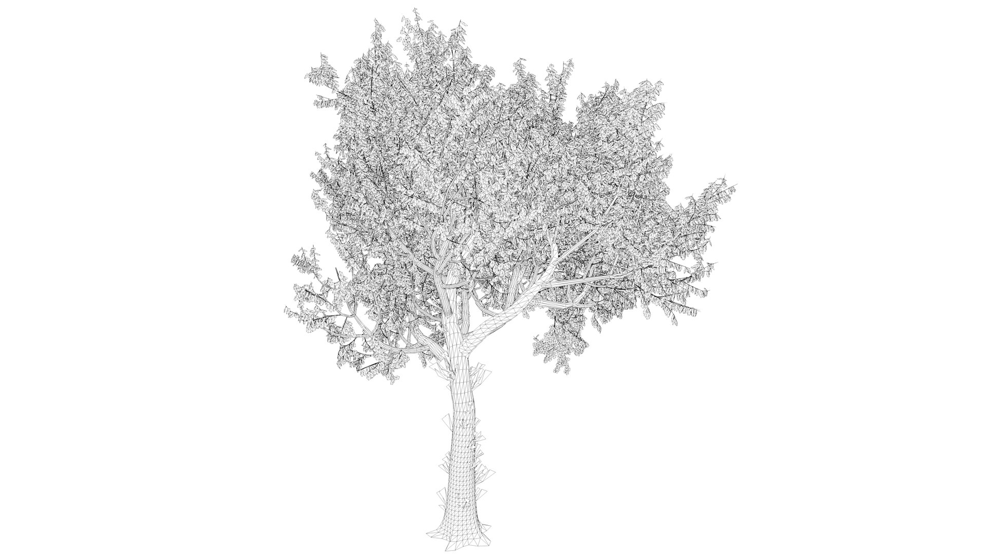 Red Oak Tree - 01 - Model - TurboSquid 2377735