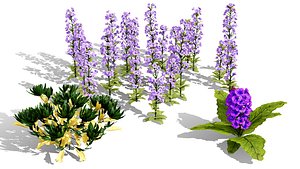 3D Arabian Flora Collection 3D model
