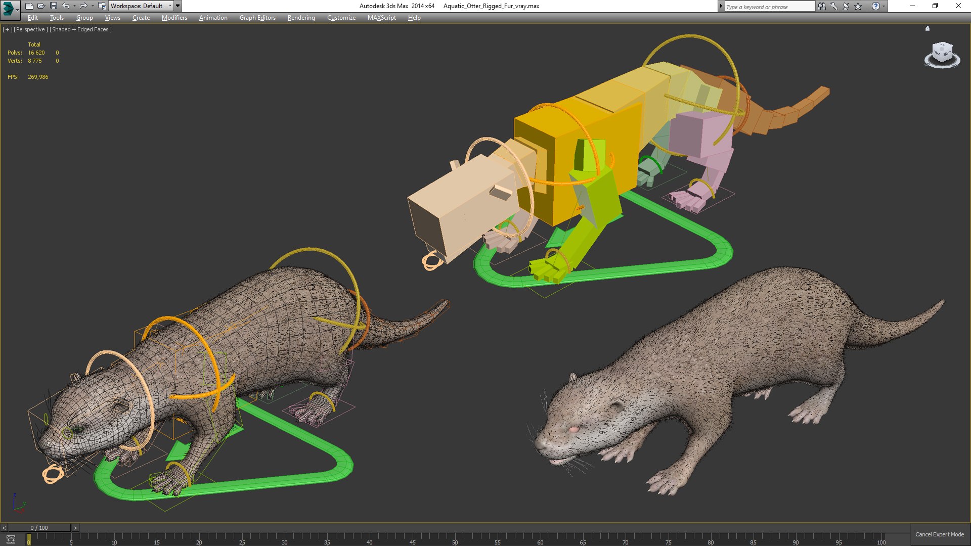 3D model Aquatic Otter Rigged Fur - TurboSquid 2137518