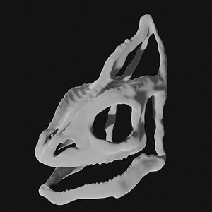 chameleon skull
