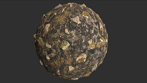 Fire Damage Forest Ground Rocks Pbr 4k Texture 3D model