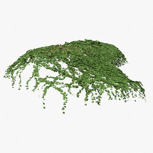 3D ivy pbr branches model