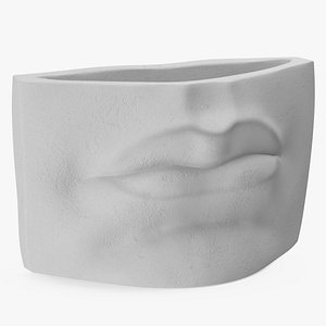 Michelangelo David lips decor Gypsum