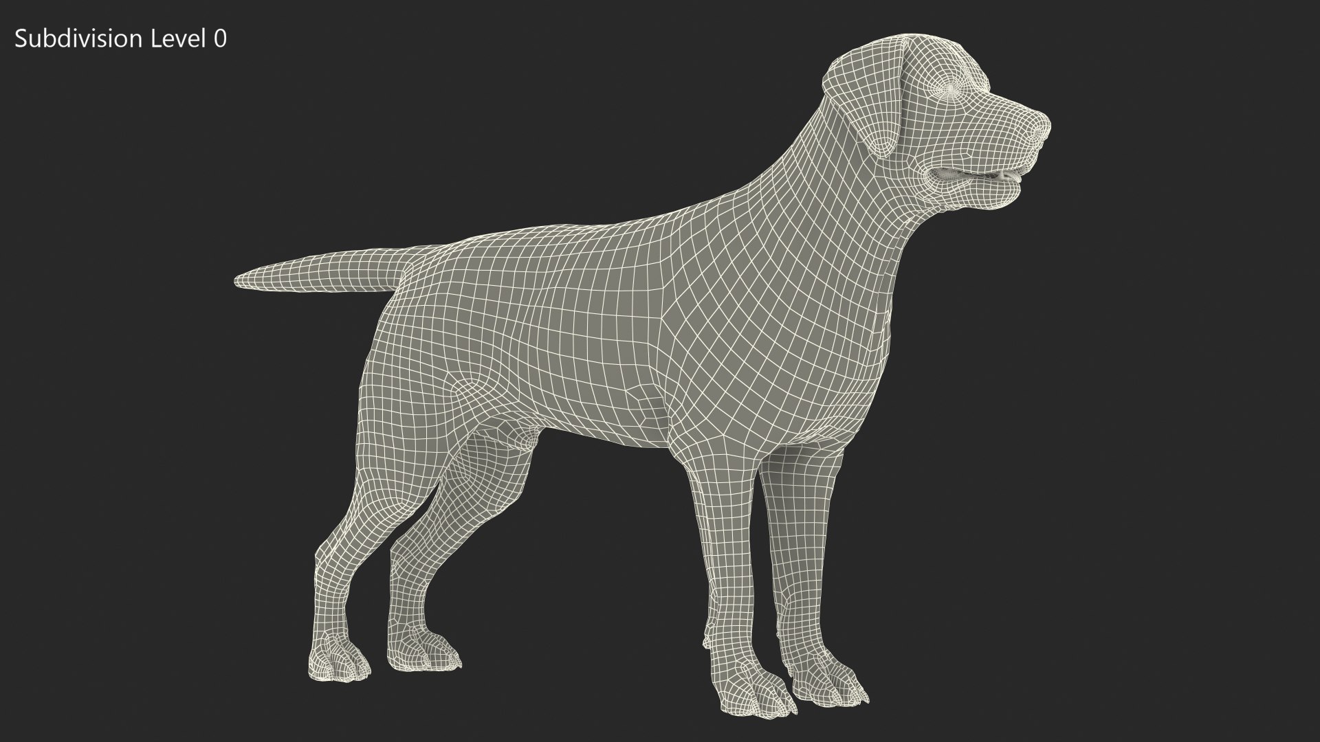 3D Labrador Dog Black Rigged https://p.turbosquid.com/ts-thumb/PN/UugHEQ/5r/labradordogblackriggedmb3dmodel024/jpg/1638372380/1920x1080/fit_q87/e200b2be6092d71b2d96c2e3a12c145829dc3285/labradordogblackriggedmb3dmodel024.jpg