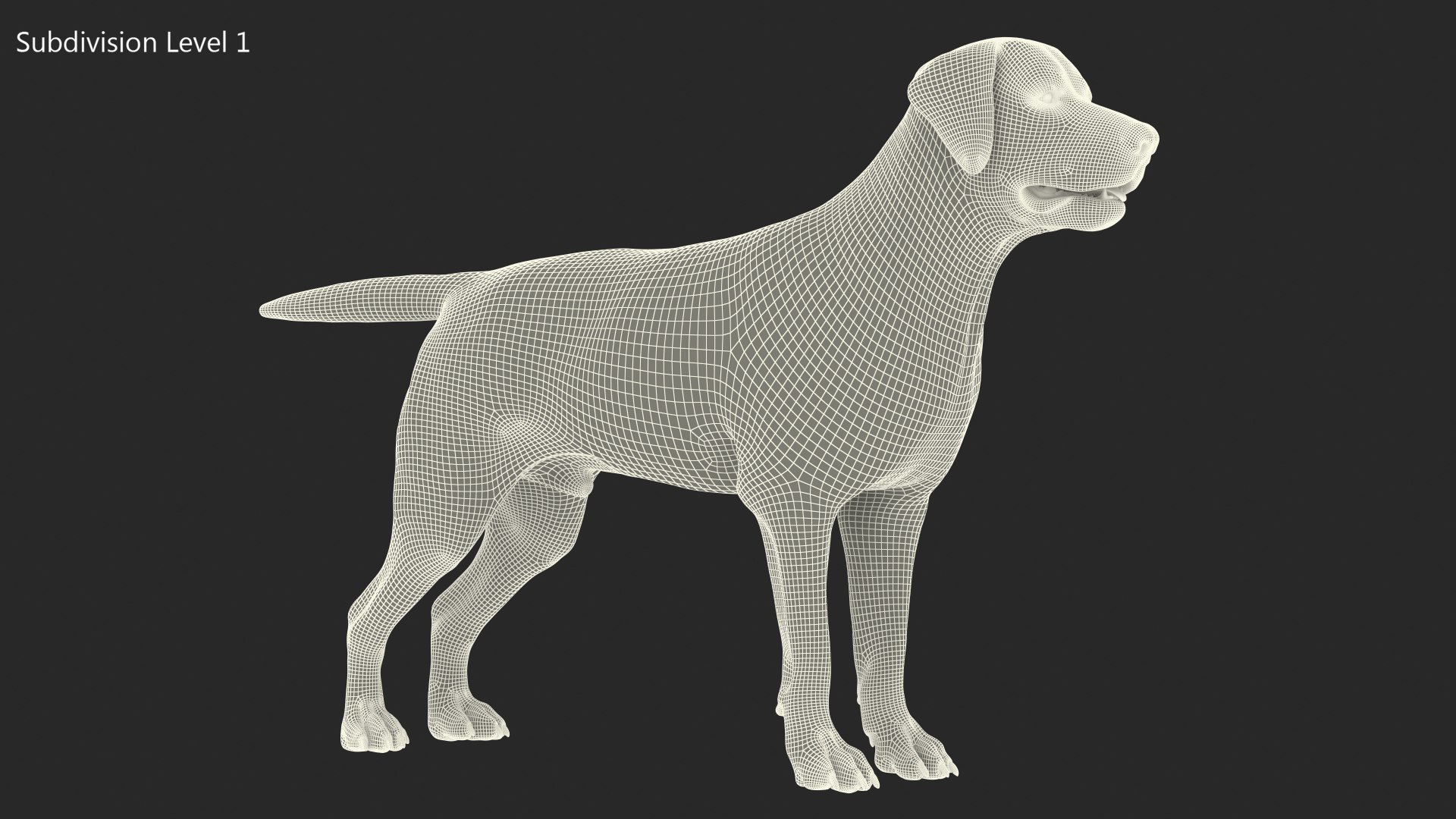 3D Labrador Dog Black Rigged https://p.turbosquid.com/ts-thumb/PN/UugHEQ/9d/labradordogblackriggedmb3dmodel025/jpg/1638372383/1920x1080/fit_q87/c0e0c0e1e12beb2193371ccfa46101def1f486ac/labradordogblackriggedmb3dmodel025.jpg