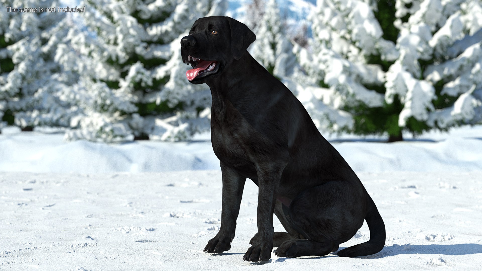 3D Labrador Dog Black Rigged https://p.turbosquid.com/ts-thumb/PN/UugHEQ/D4/labradordogblackriggedmb3dmodel003/jpg/1638372321/1920x1080/fit_q87/4c90a92292041996d0f2a56803726fc4dc189b02/labradordogblackriggedmb3dmodel003.jpg