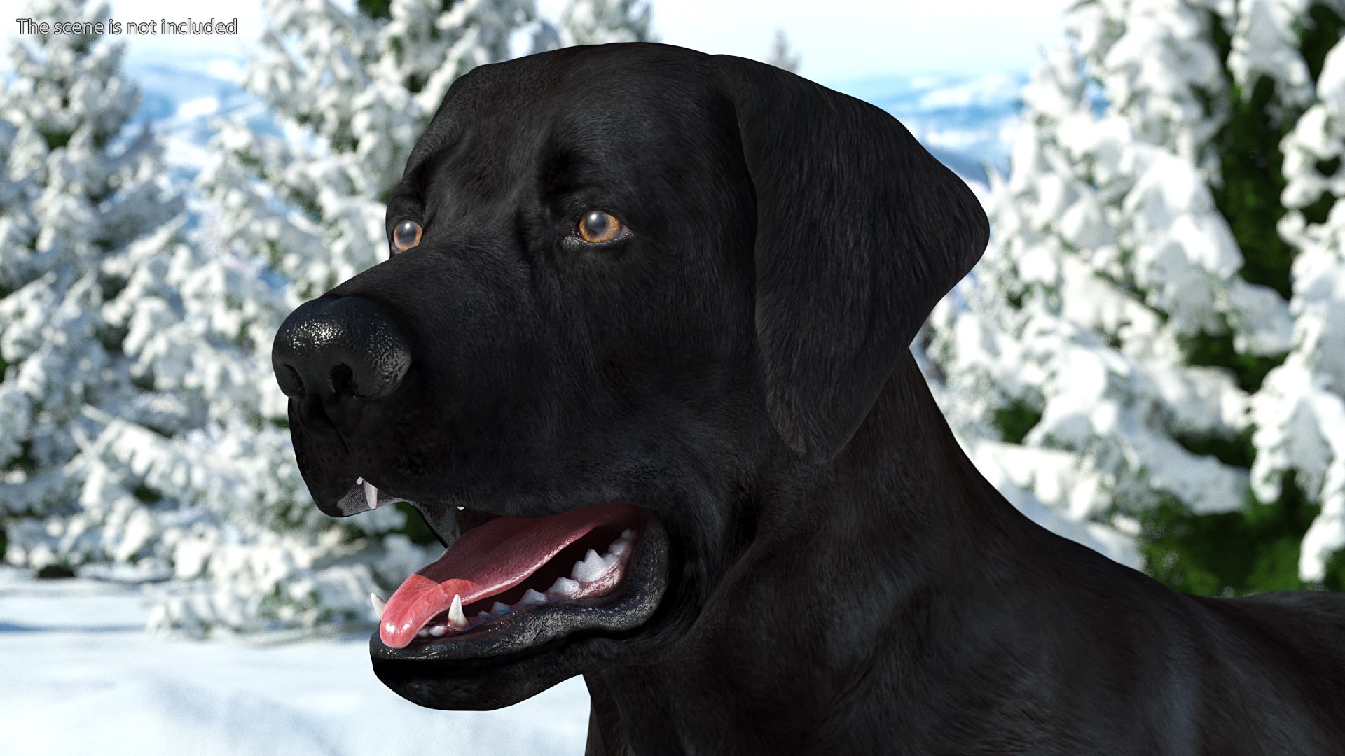 3D Labrador Dog Black Rigged https://p.turbosquid.com/ts-thumb/PN/UugHEQ/QK/labradordogblackriggedmb3dmodel005/jpg/1638372327/1920x1080/fit_q87/eb90460534d877d4da1d81661b7c554f24ddf253/labradordogblackriggedmb3dmodel005.jpg