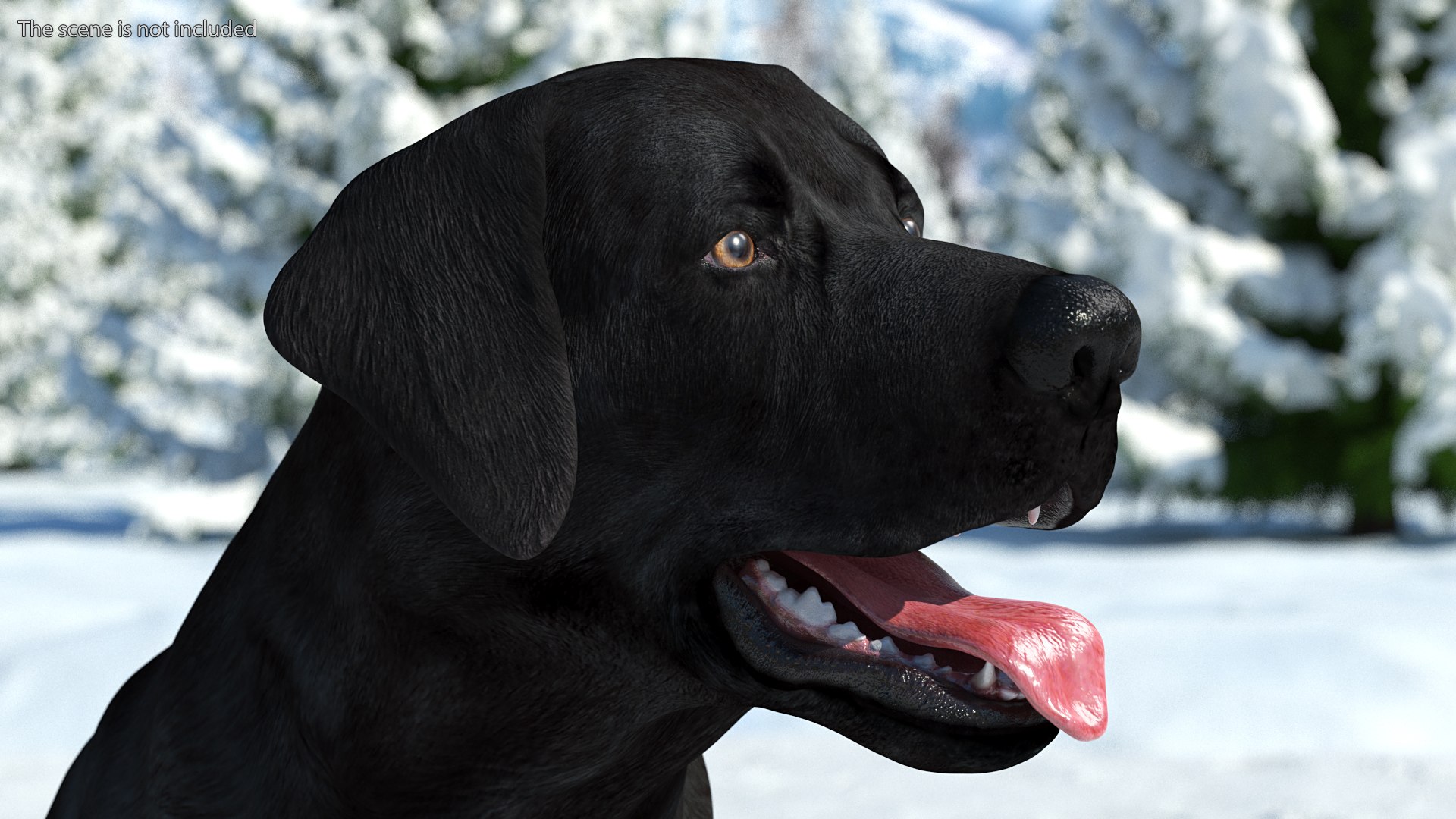 3D Labrador Dog Black Rigged https://p.turbosquid.com/ts-thumb/PN/UugHEQ/fY/labradordogblackriggedmb3dmodel006/jpg/1638372330/1920x1080/fit_q87/23673992b0564f6d1acba650ed3f175a2bd82a66/labradordogblackriggedmb3dmodel006.jpg