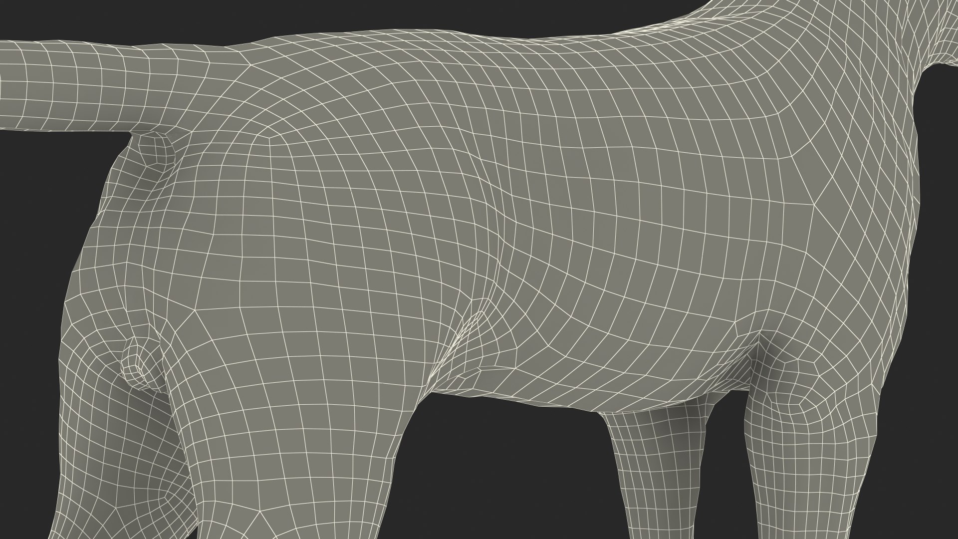 3D Labrador Dog Black Rigged https://p.turbosquid.com/ts-thumb/PN/UugHEQ/mE/labradordogblackriggedmb3dmodel035/jpg/1638372410/1920x1080/fit_q87/c26c74d8e36c6214ef904fccd0cfa6d68cb0b90c/labradordogblackriggedmb3dmodel035.jpg