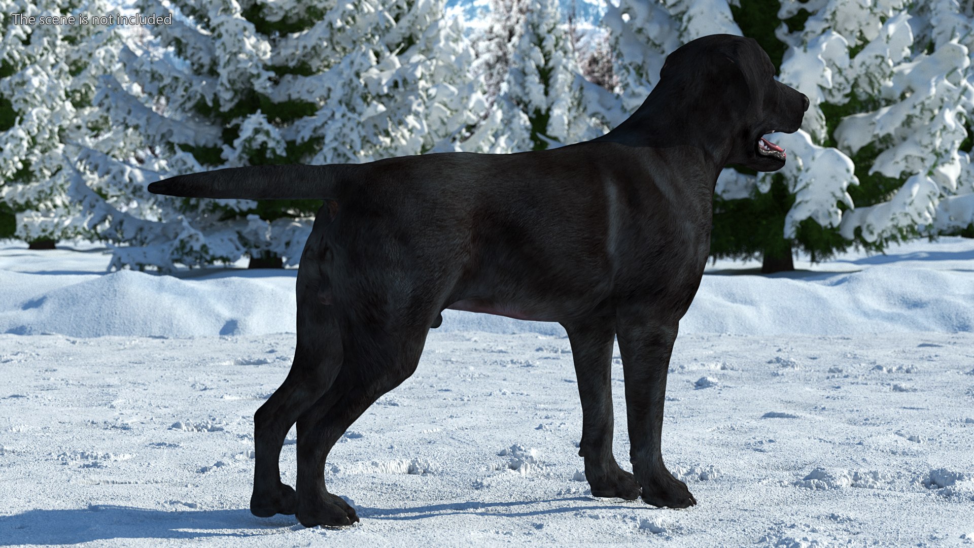 3D Labrador Dog Black Rigged https://p.turbosquid.com/ts-thumb/PN/UugHEQ/sX/labradordogblackriggedmb3dmodel004/jpg/1638372324/1920x1080/fit_q87/db4771a66958ac5e53834eedaf8a4662f46de36a/labradordogblackriggedmb3dmodel004.jpg