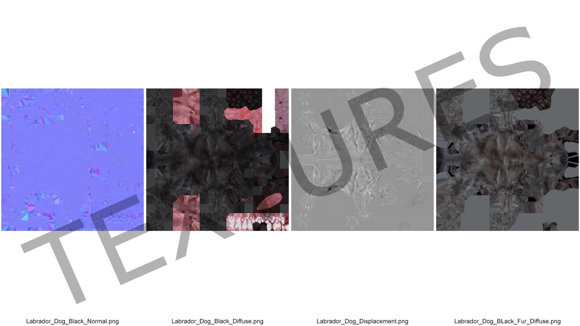3D Labrador Dog Black Rigged https://p.turbosquid.com/ts-thumb/PN/UugHEQ/vE/labradordogblackriggedmb3dmodel027/jpg/1638372388/1920x1080/fit_q87/f29a72eb68b0ad60d8a5f8064b525b28de6395dd/labradordogblackriggedmb3dmodel027.jpg