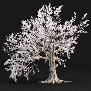 Cherry blossom tree vol 98-3dmodel 3D model