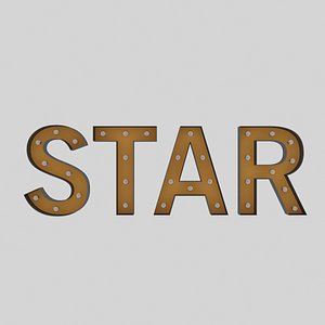 3D sign bulb star