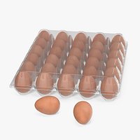 Realistic Egg Tray Packaging with 30 Brown Eggs